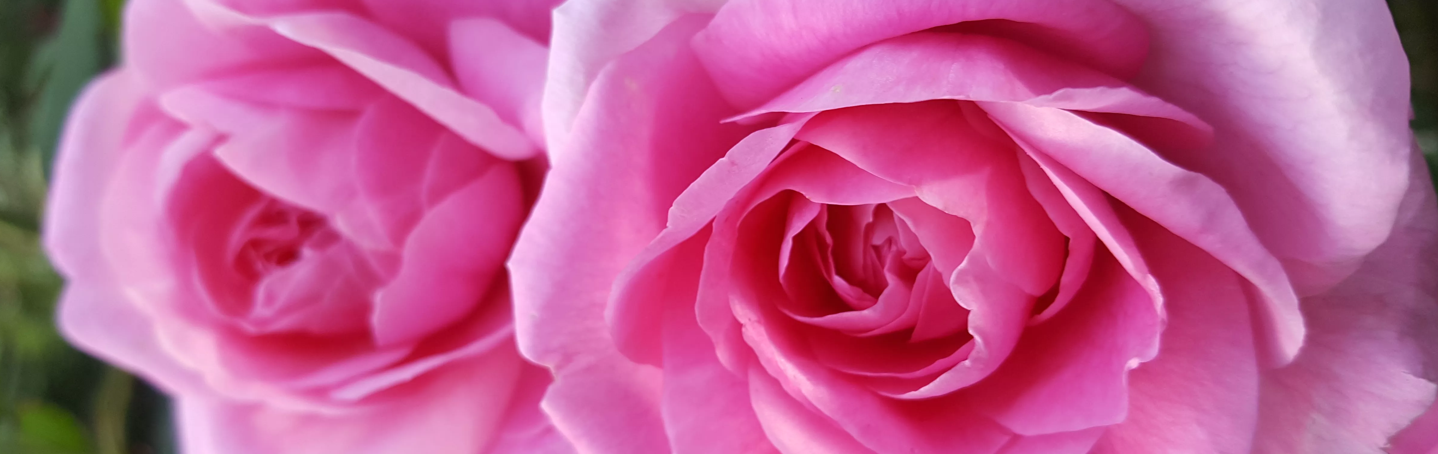 20170608-070341-001.5.69065bb8ac536