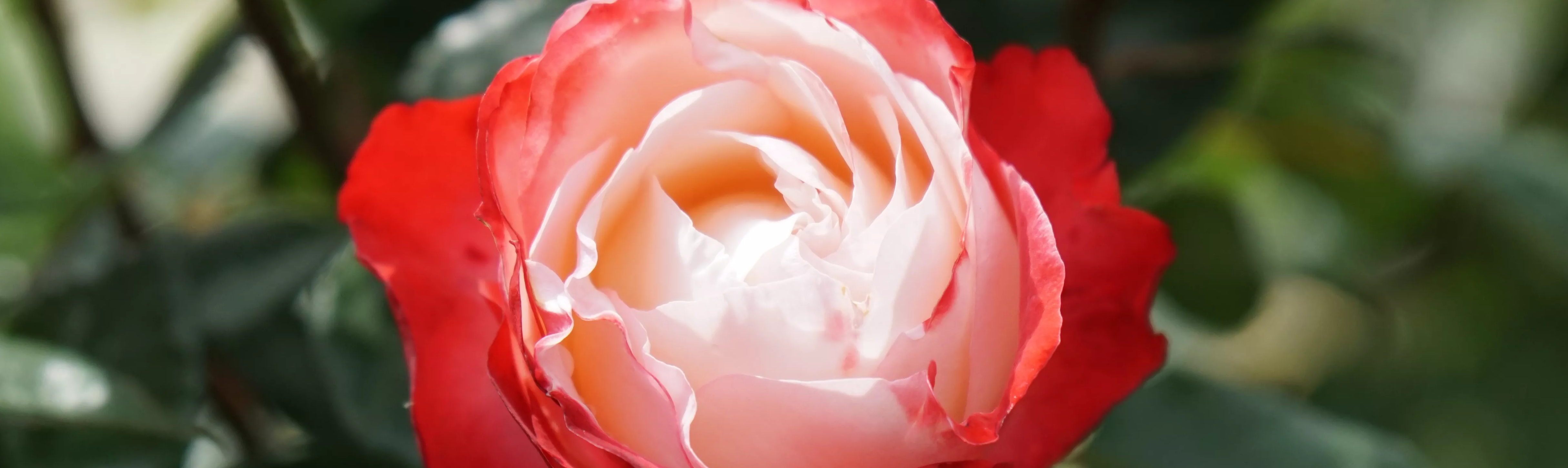 dsc00590.5.69065c727d0e6